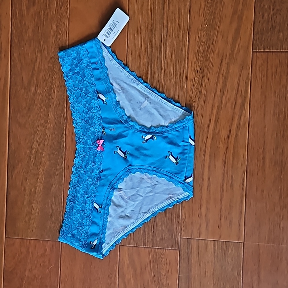 Aerie girly brief undies (0726)